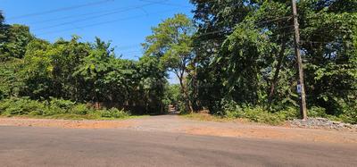 Image of 1444 Sq.ft Residential Plot / Land for sale in Assagao, Goa for Rs. 187720000