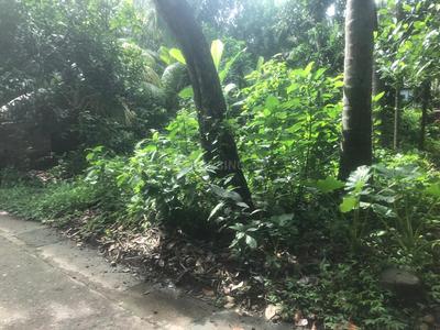 Image of 1080 Sq.ft Residential Plot / Land for sale in Madhyamgram, Kolkata for Rs. 3600000