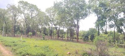 Image of 7000 Sq.ft Residential Plot / Land for sale in Vengal, Chennai for Rs. 2400000