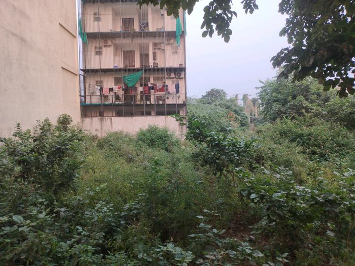 Sector 45 Plot View 1