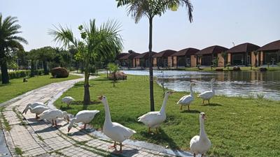 Image of 900 Sq.ft Residential Plot / Land for sale in Chaksu, Jaipur for Rs. 170000