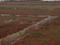 Mahabaleshwar Plot View 2