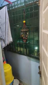 Balcony Image of 700 Sq.ft 1 BHK Apartment / Flat for sale in Madhavaram Milk Colony Chennai for Rs. 5300000
