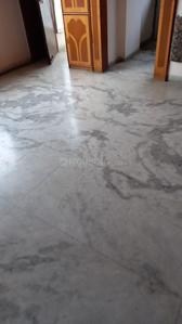 Hall Image of 650 Sq.ft 1 BHK Apartment / Flat for rent in Vijay Nagar Indore for Rs. 9000