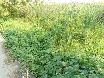 Image of 1150 Sq.ft Residential Plot / Land for sale in Nandarampur, Kolkata for Rs. 620000