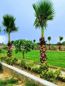 Image of 900 Sq.ft Residential Plot / Land for sale in Sunari, Agra for Rs. 4200000