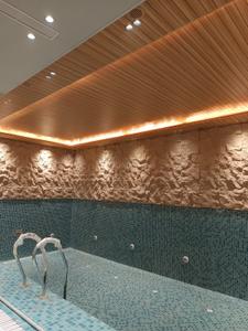 Bathroom Image of 9000 Sq.ft 5 BHK Duplex for sale in Hauz Khas New Delhi for Rs. 320000000