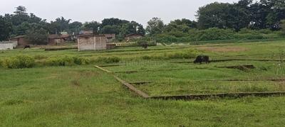 Image of 1742 Sq.ft Residential Plot / Land for sale in Birsa Nagar, Ranchi for Rs. 1840000