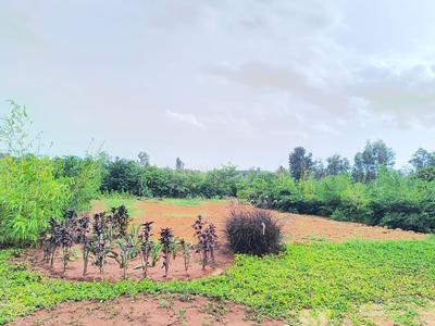 Image of 6000 Sq.ft Residential Plot / Land for sale in Tharabanahalli, Bengaluru for Rs. 24000000