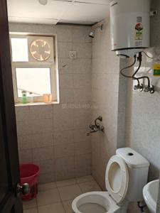 Bathroom Image of 494 Sq.ft Studio Apartment / Flat for rent in Sector 143 Noida for Rs. 20000