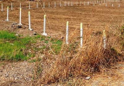 Image of 10000 Sq.ft Residential Plot / Land for sale in Koproli, Uran Taluka, Navi Mumbai for Rs. 1200000