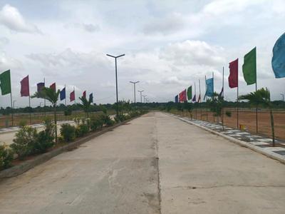 Century Nature City Internal Roads 2