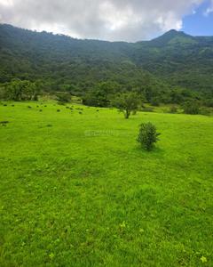 Image of 20000 Sq.ft Residential Plot / Land for sale in Bhor, Pune for Rs. 1800000