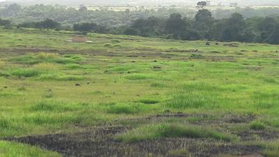 Image of 3012 Sq.ft Residential Plot / Land for sale in Kankavli, Sindhudurg for Rs. 1700000