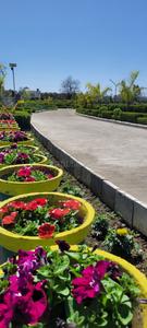 Image of 4392 Sq.ft Residential Plot / Land for sale in Ramnagar, Nainital for Rs. 10000000