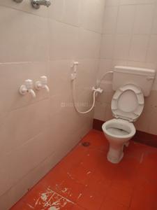 Bathroom Image of 900 Sq.ft 2 BHK Independent House for rent in Royal Nagar Tirupathi for Rs. 16000