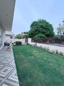 Image of 3000 Sq.ft 2 BHK Builder Floor for rent in DLF Alameda, Sector 74A, Gurgaon for Rs. 65000