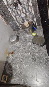 Bathroom Image of 585 Sq.ft 1 BHK Apartment / Flat for sale in Pinnacle Blossom, Kalamboli Navi Mumbai for Rs. 4300000