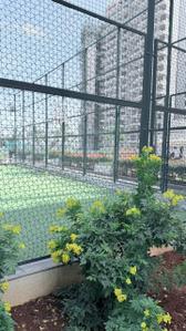Image of 880 Sq.ft 2 BHK Apartment / Flat for rent in Pharande Puneville Phase II Cluster B, Pimpri, Pune for Rs. 30000