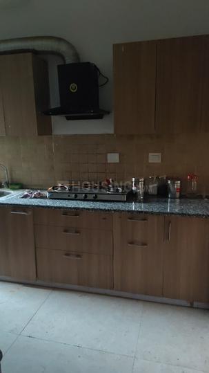 SS The Coralwood Main Image 1