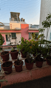 Balcony Image of 1001 Sq.ft 4 BHK Duplex for sale in Trilanga Bhopal for Rs. 10000000