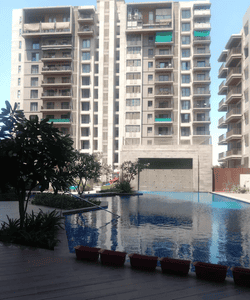 Image of 7500 Sq.ft 5 BHK Duplex for sale in Kalpataru Grandeur, Palasia, Indore for Rs. 2100000