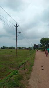 Image of 1000 Sq.ft Residential Plot / Land for sale in Naya Raipur, Raipur for Rs. 721000