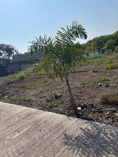 Trishul Housing Society, Saswad Main Image 1