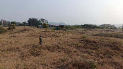 Image of 93108 Sq.ft 4 BHK Farm House for sale in Morjim, Goa for Rs. 1100000000