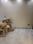 Shastri Nagar Bedroom 2