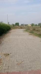 Image of 1350 Sq.ft Residential Plot / Land for sale in Bareilly Pacific Estates, Kumrah, Bareilly for Rs. 2025000