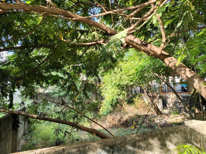 VGP Layout, Palavakkam Main Image 1