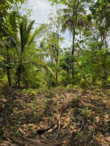 Image of 4655 Sq.ft Residential Plot / Land for sale in Minalur, Thrissur for Rs. 125000