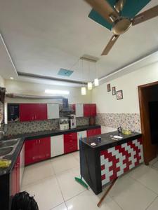 Kitchen Image of 2000 Sq.ft 3 BHK Apartment / Flat for rent in Nabha Zirakpur for Rs. 26000