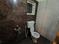 Susana park  Nest Bathroom 1