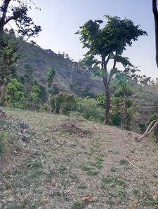 Dwara Hills Plot View 3