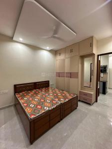 Bedroom Image of 866 Sq.ft 2 BHK Apartment / Flat for rent in Gillco Palms, Sector 115 Mohali for Rs. 24000