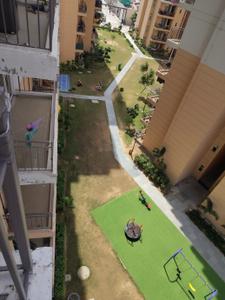 Image of 450 Sq.ft 1 BHK Apartment / Flat for rent in ROF Amaltas, Sector 92, Gurgaon for Rs. 16000