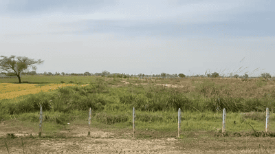 Image of 1350 Sq.ft Residential Plot / Land for sale in Radha Kund Road, Vrindavan for Rs. 7650000