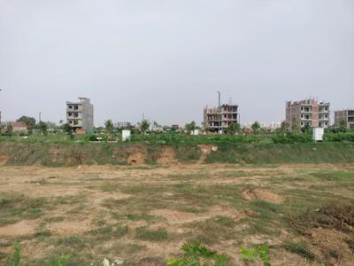 Amolik Aster Woods Plot View 2