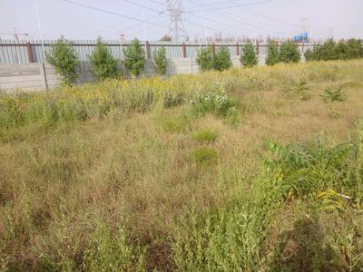 Image of 1350 Sq.ft Residential Plot / Land for sale in Garden 28 Pataudi, Farukh Nagar, Gurgaon for Rs. 13650000