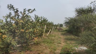Image of 11500 Sq.ft Residential Plot / Land for sale in Kathadih, Raipur for Rs. 5750000