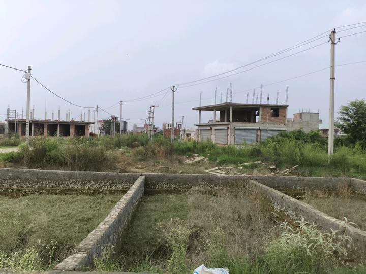 Chhapraula Main Image 1