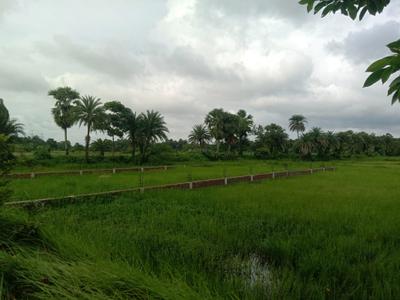 A P Nagar Plot View 2
