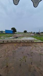 Image of 1000 Sq.ft Residential Plot / Land for sale in Paldi Meena, Jaipur for Rs. 3500000