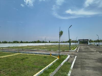 Tulip Garden Plot View 3