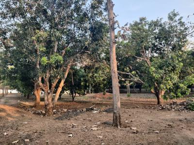Image of 1500 Sq.ft 2 BHK Farm House for sale in Mahabalipuram, Chennai for Rs. 25000000