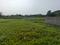 Sonargaon 2 Sonarpur plot project kolkata Plot View 2