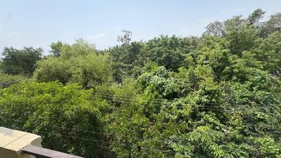 Balcony Image of 700 Sq.ft 2 BHK Apartment / Flat for rent in Palam New Delhi for Rs. 18000