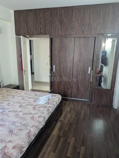 Tulip Petals Main Image 1